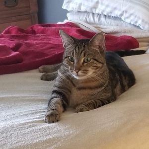 Meet your Posher, Mikayla